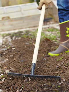 Prepare o solo como para uma sementeira 'verdadeira'.