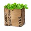 Kit de Plantao Salada Bio - Bowl Green
