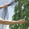Rede reforada para rvores de fruto - 5x12 m