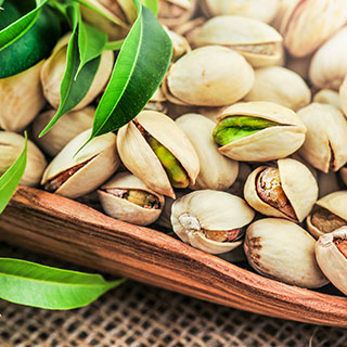 pistacio-pistacea