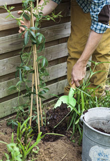 Camufle o compostador