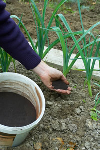 Nourrir ses plantes sur mesure