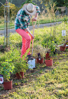 Experimente o jardim natural