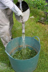 As maceraes: preparaes naturais