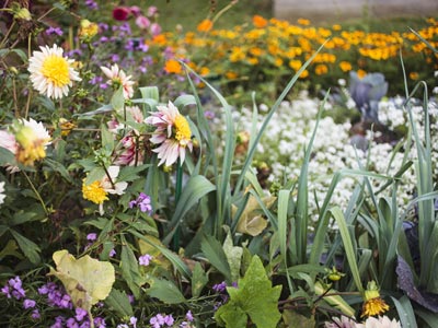 Conjugue os legumes com as flores