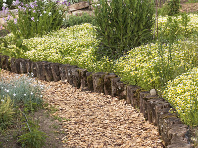 Bordaduras de jardim perfeitas