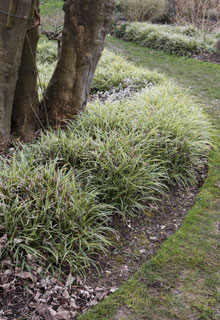 Bordaduras de jardim perfeitas