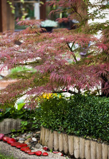 Bordaduras de jardim perfeitas