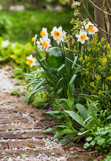 Bordaduras de jardim perfeitas