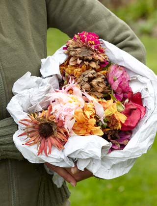 Poda das plantas com flores