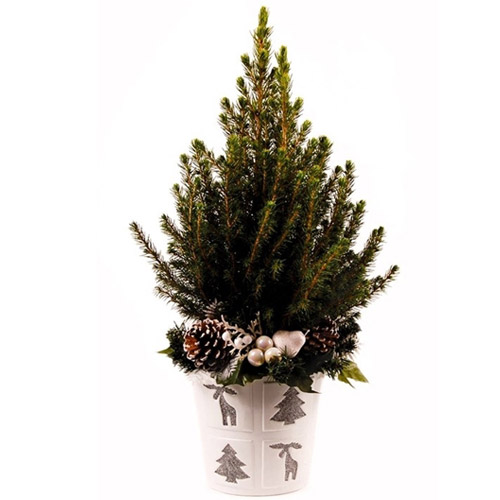 rvore de Natal - PX12 - Altura total: 40/50 cm