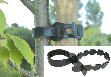 Colares para arvores