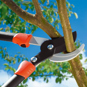 Corta ramos Comfort 870 BL - Gardena