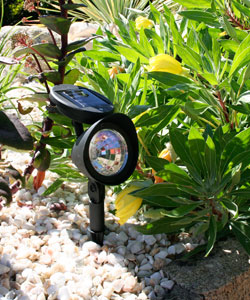 Spot solar com 3 LED