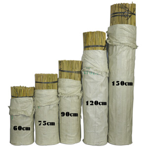 Tutor em bambu natural