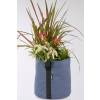 Floreira de primavera 'Spring Blue Majesty'