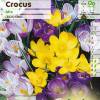 Crocus em mistura