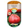 Tomate 'Liguria'