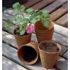Vasos biodegrad�veis redondos 6cm