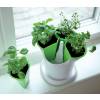 Vaso para ervas aromticas - Verde e Branco