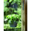 Corsica Hanging Basket - D30 cm - Branco - Elho