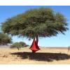 Cama Suspensa - Cacoon Simples - Vermelho