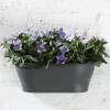 Corsica Wall Basket - 39x17cm - Antracite - Elho