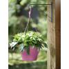 Corsica Hanging Basket - D30 cm - Cereja - Elho