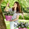 Corsica Hanging Basket - D30 cm - Cereja - Elho