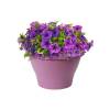 Corsica Wall Basket - D.25 cm - Violeta Viva- Elho