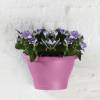 Corsica Wall Basket - D.25 cm - Violeta Viva- Elho