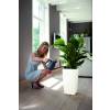 Milano All-in-One - A55cm - Antracite Mate - Elho