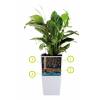 Milano All-in-One - A55cm - Antracite Mate - Elho