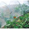 Rede anti-insectos para a horta – 2,2 x 10 m