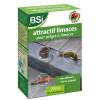 Lesmas - Atrativo - BSI