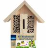 Kit Biodiversidade especial polinizadores