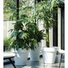Pure Round  D80 cm A71 cm  Antracite  Elho