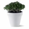 Pure Round  D80 cm A71 cm  Antracite  Elho