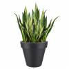 Pure Round  D80 cm A71 cm  Antracite  Elho