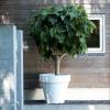 Pure Round  Di.120 cm A107 cm  Antracite  Elho
