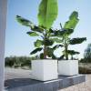 Pure Square  40x40 A39  Branco - Elho