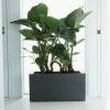 Pure Square Long  39x79 A40  Antracite  Elho