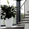 Pure Straight Round  D80 A86  Branco  Elho