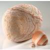 Seixos Decorativos - Rainbow - Sac  - 3/6 cm