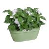 Vaso Parede Vibia Campana-35cm-Verde Pistache-Elho