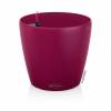 CLASSICO Color 43 - Vermelho - LECHUZA
