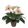 Planta Artificial - Gerbera Creme - MICA