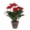 Planta Artificial - Gerbera Vermelha - MICA