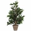 Planta Artificial - Ficus exotica - MICA