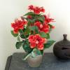 Planta Artificial - Hibiscus Vermelho - MICA